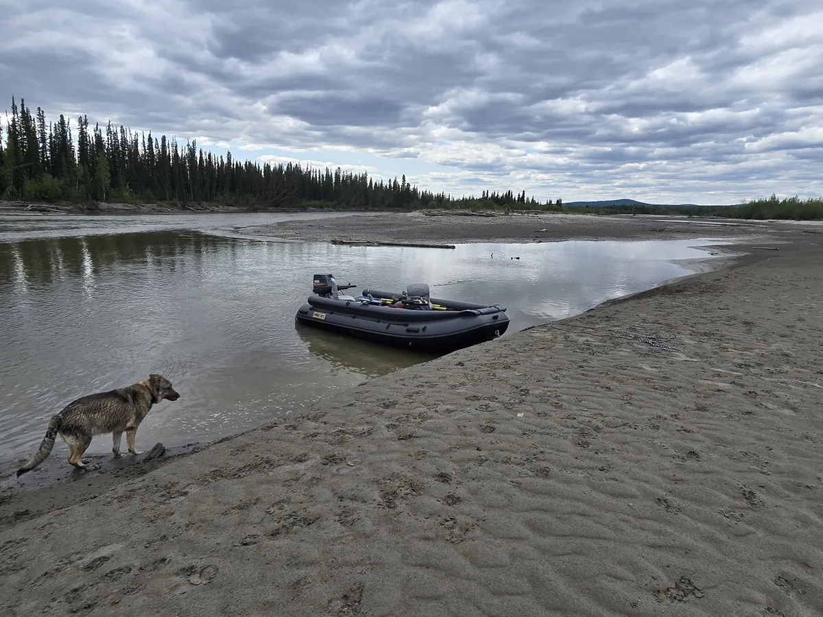 Raft on a river sandbar in Interior Alaska